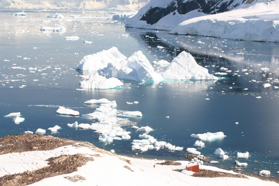 Neko Harbour, Antarctica © Mellany van der Hulst - Oceanwide Expeditions (2).JPG