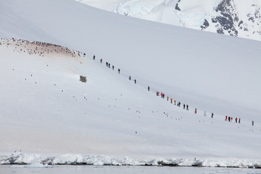 Snowshoeing at Danco Island, Antarctica © Troels jacobsen-Oceanwide Expeditions (2).JPG