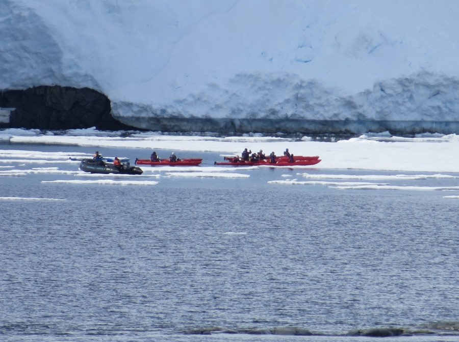 PLA26-17_Kayak, 11 January_2-Oceanwide Expeditions.jpg