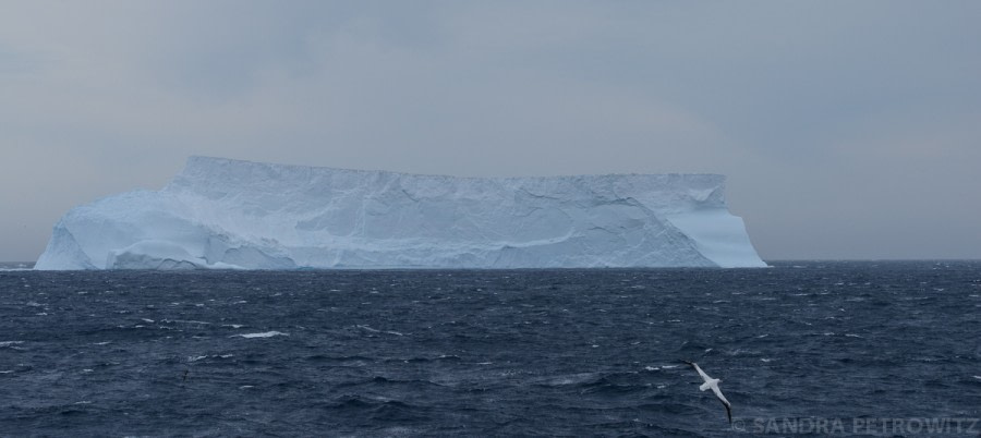 OTL25-17_20161221_OTL25_FirstIceberg02_SandraPetrowitz-Oceanwide Expeditions.jpg