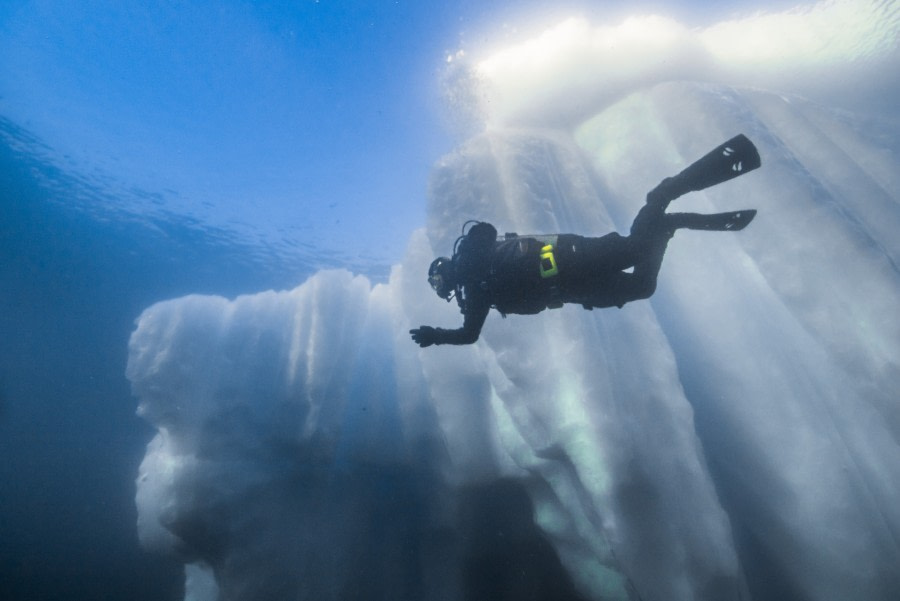 Greenland, Scoresby Sund © Alexander Kassler-Oceanwide Expeditions (326).jpg