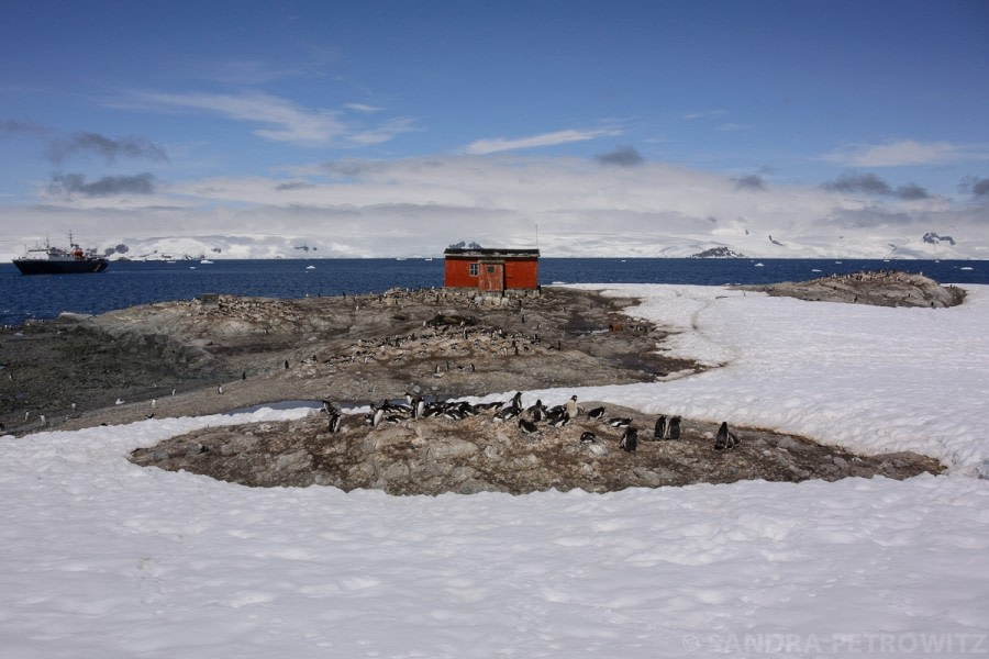 Antarctic Peninsula: Mikkelsen Harbour & Cierva Cove