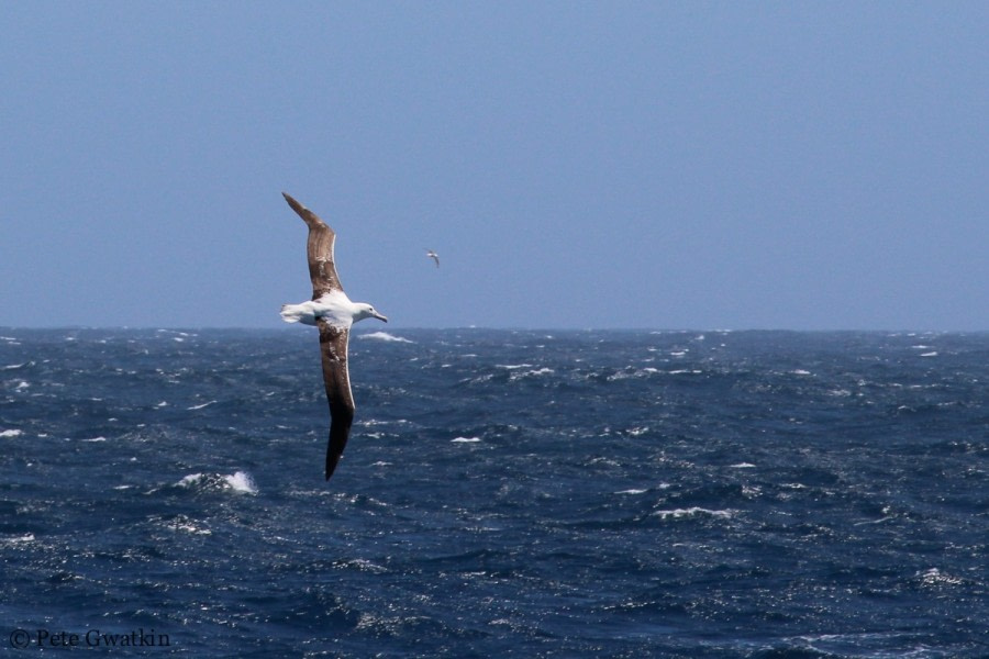 At sea towards the Falkland Islands