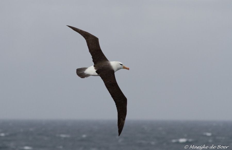 The Drake Passage