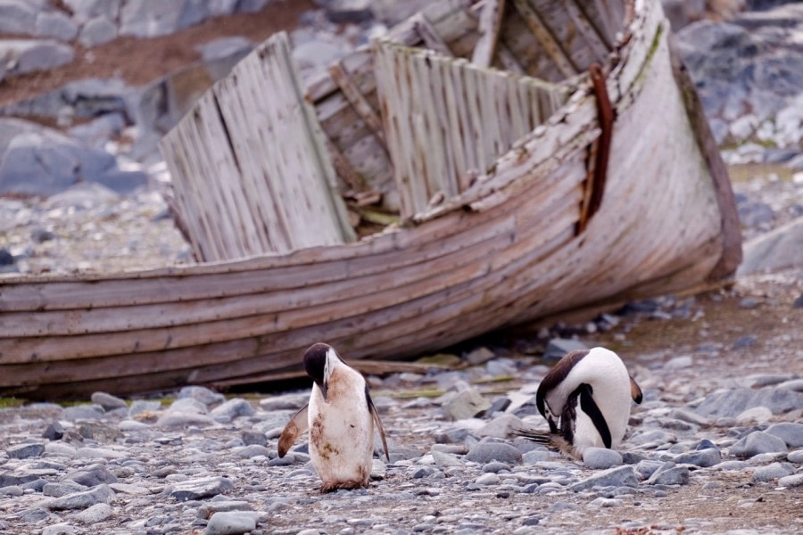 Half Moon Island and Deception Island