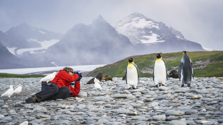 Falklands, South Georgia, Ant Peninsula © Fotografie Dietmar Denger-Oceanwide Expeditions109.jpg