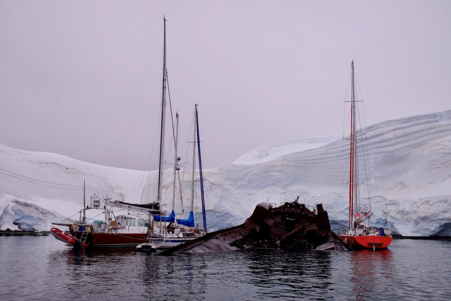 Neko Harbour & Enterprise Island