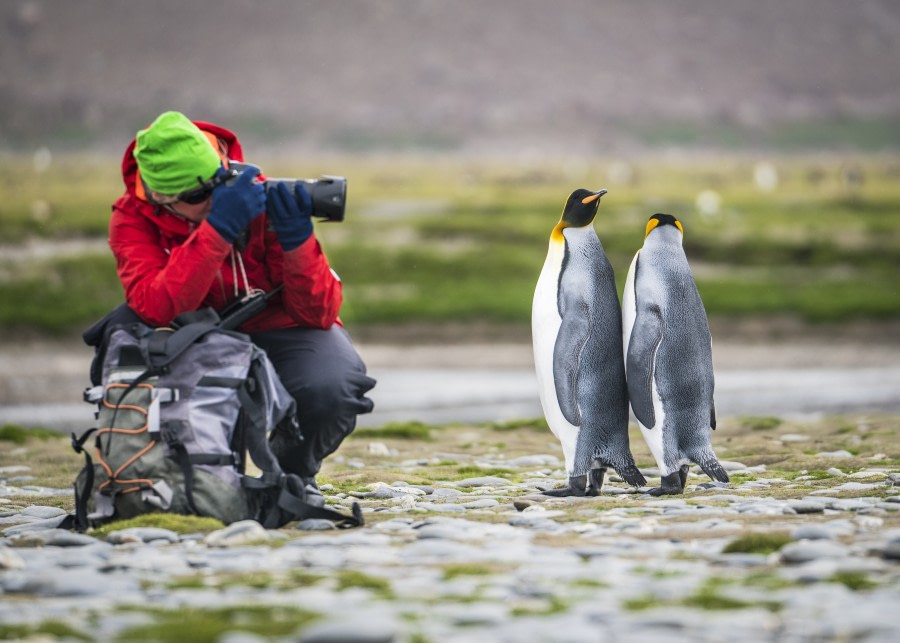 Falklands, South Georgia, Ant Peninsula © Fotografie Dietmar Denger-Oceanwide Expeditions72.jpg