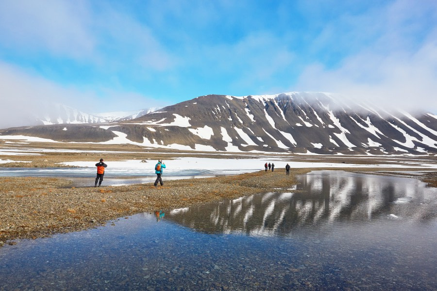 North Spitsbergen Polar Bear Special, June © Markus Eichenberger-Oceanwide Expeditions (157).jpg