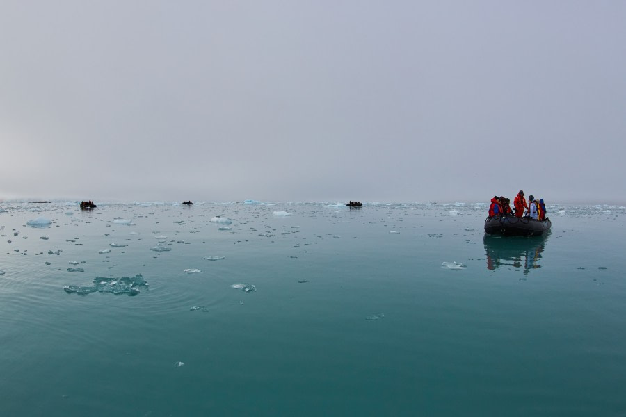 North Spitsbergen Polar Bear Special, June © Markus Eichenberger-Oceanwide Expeditions (128).jpg