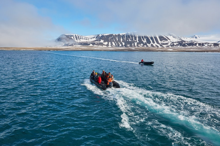 North Spitsbergen Polar Bear Special, June © Markus Eichenberger-Oceanwide Expeditions (154).jpg