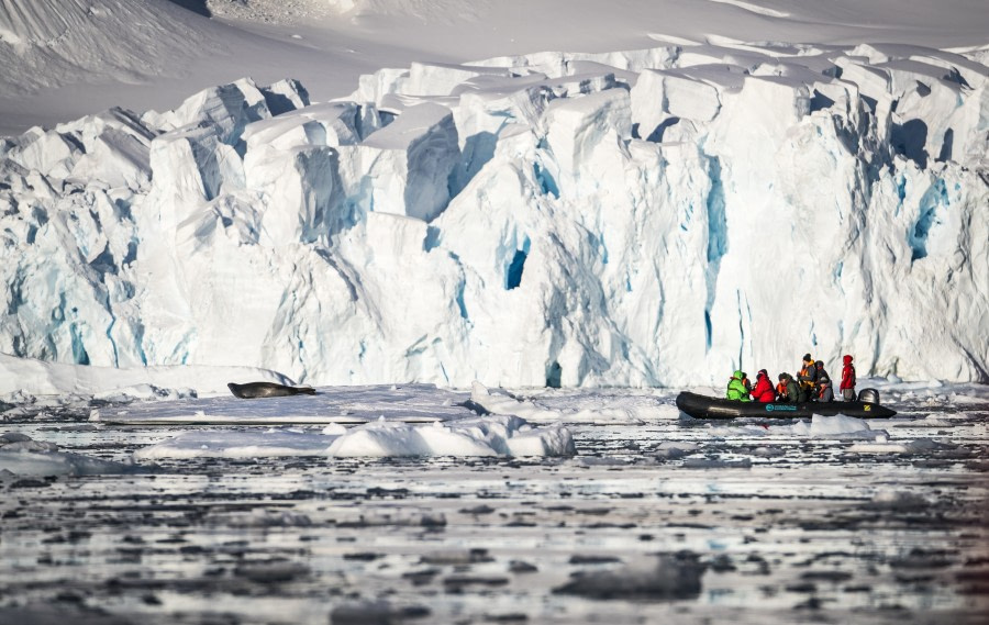 Zodiac cruising and lounging Antarctic wildlife © Dietmar Denger-Oceanwide Expeditions.jpg