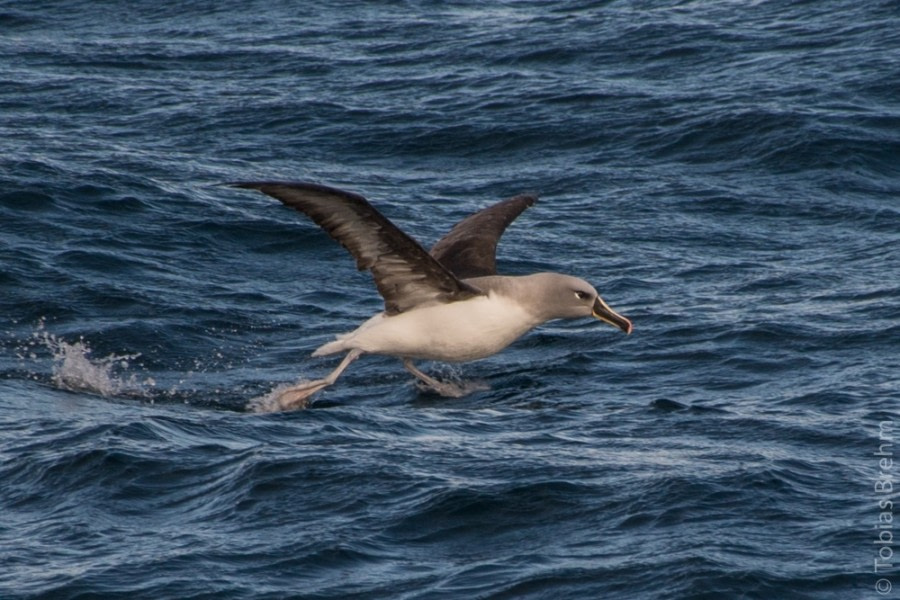 At sea towards  Antarctica