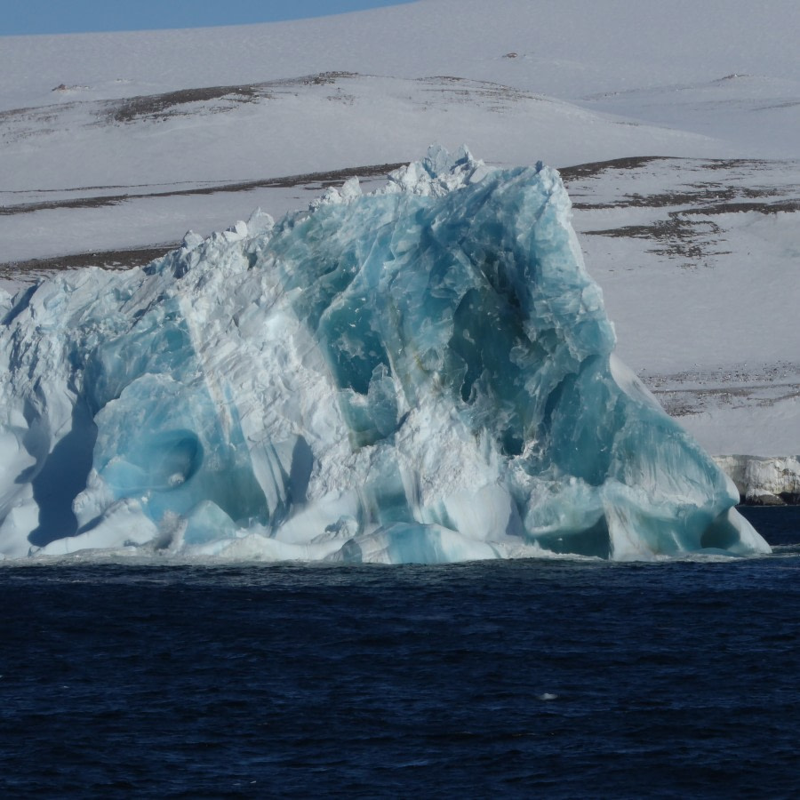 OTL27-17_04Feb,Day 22 Victoria Salem. Blue ice-Oceanwide Expeditions.jpg