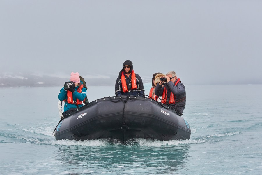 North Spitsbergen Polar Bear Special, June © Markus Eichenberger-Oceanwide Expeditions (141).jpg