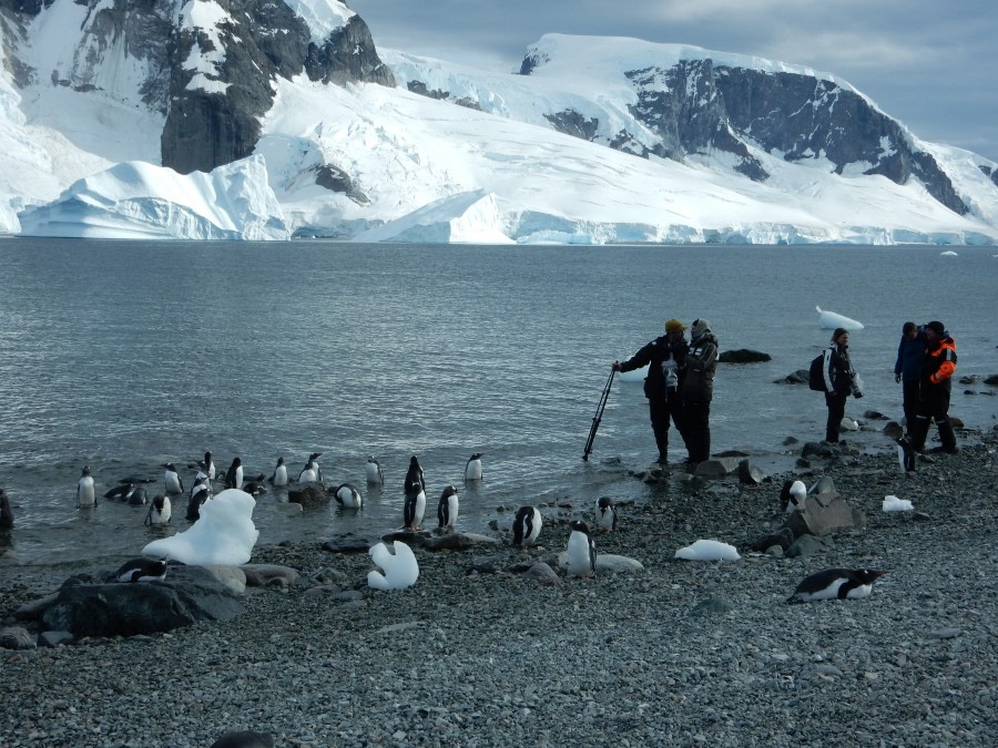 OTL28-17, Ross Sea,day 28 Danco 7 Lynn-Oceanwide Expeditions.jpg