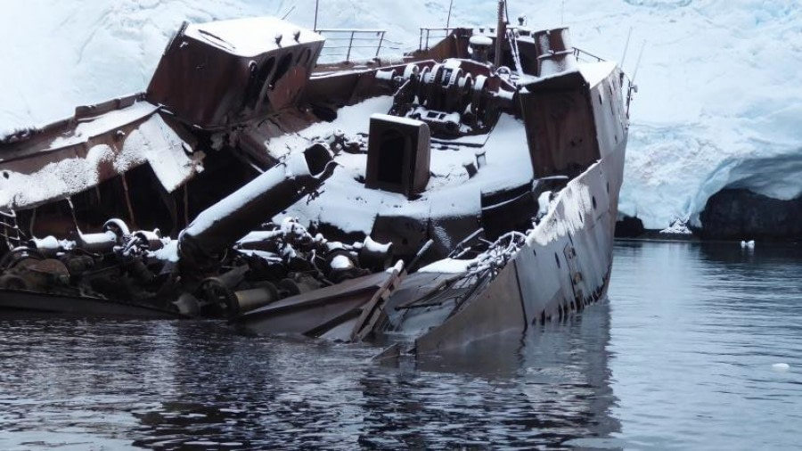 Foyn Harbour & Bransfield Strait