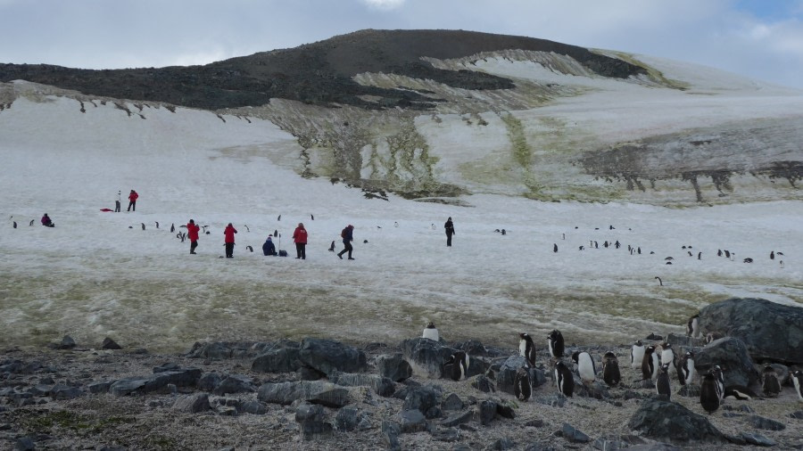 OTL28-17, Ross Sea,Day 28 Victoria Salem.  Danco Island landing 3-Oceanwide Expeditions.JPG