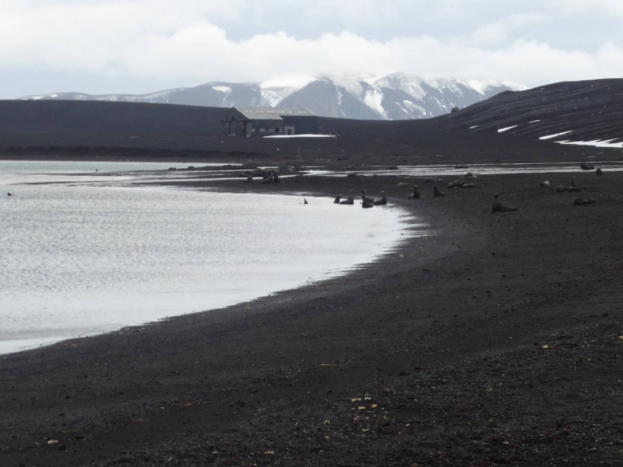 OTL29-17,Day 4 Victoria Salem. Whalers' Bay, Deception Island-Oceanwide Expeditions.JPG