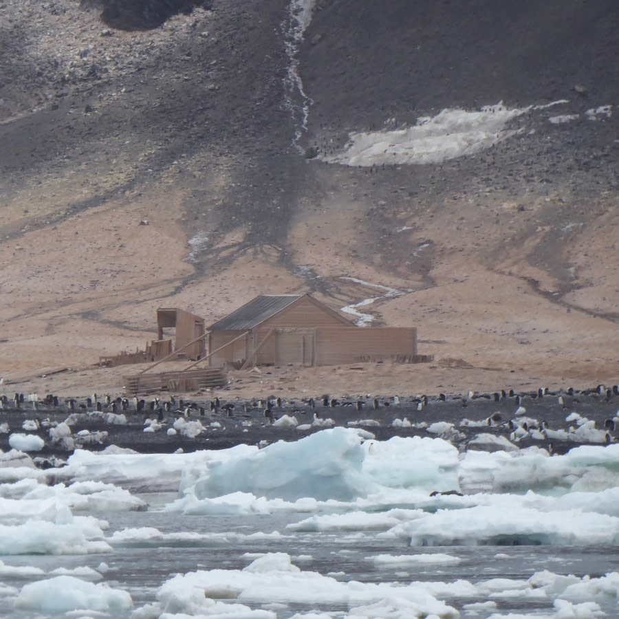 OTL28-17, Ross Sea,Day 8 Victoria Salem. Borchgrevink Hut, Cape Adare 1-Oceanwide Expeditions.JPG