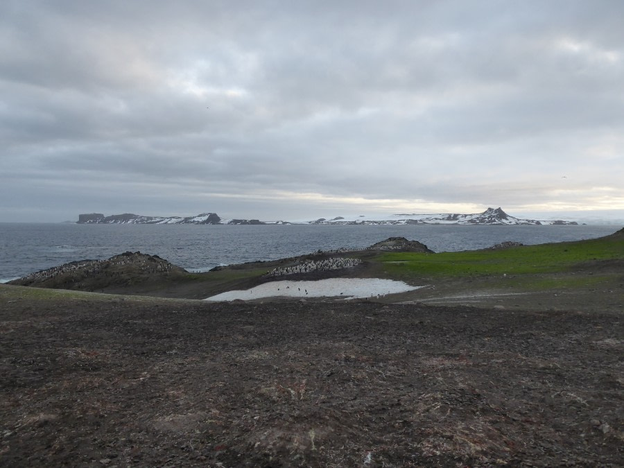 OTL28-17, Ross Sea,Day 29 Victoria Salem.  Aitcho Island 1-Oceanwide Expeditions.JPG