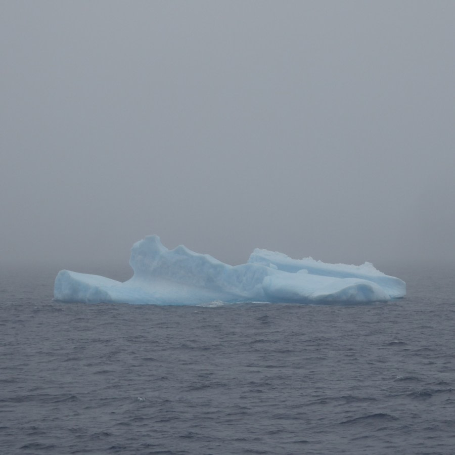 OTL28-17, Ross Sea,Day 21 Victoria Salem. Iceberg-Oceanwide Expeditions.JPG