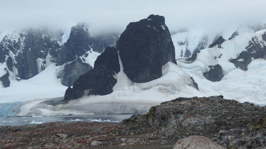 OTL29-17,Day 5 Victoria Salem. Cuverville Island view-Oceanwide Expeditions.JPG