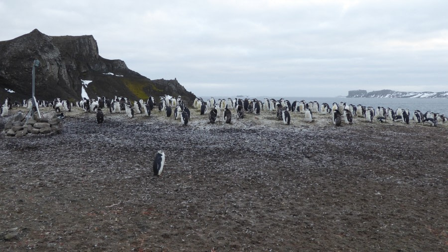 Aitcho Island, South Shetland Islands