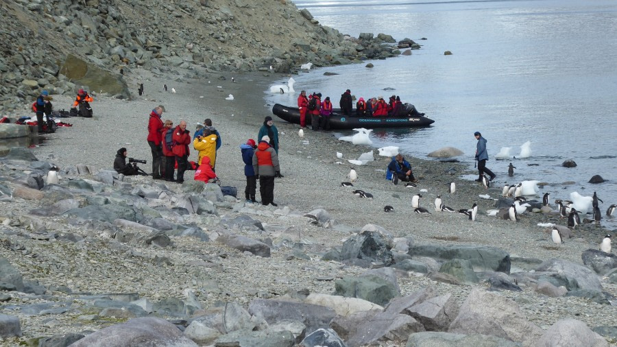 OTL28-17, Ross Sea,Day 28 Victoria Salem.  Danco Island landing 5-Oceanwide Expeditions.JPG