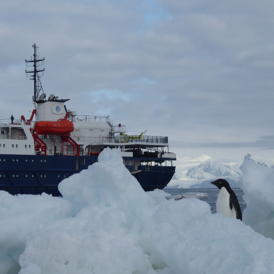 OTL28-17, Ross Sea,Day 8 Victoria Salem. Ortelius & Adelie 2-Oceanwide Expeditions.JPG