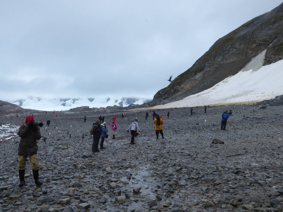 OTL29-17,Day 5 Victoria Salem. Passengers on Cuverville Island 1-Oceanwide Expeditions.JPG