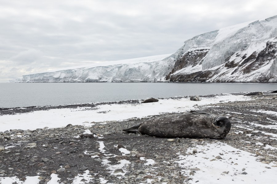 OTL28-17, Ross Sea,170225_Franklin-Island_021© Rolf Stange-Oceanwide Expeditions.jpg