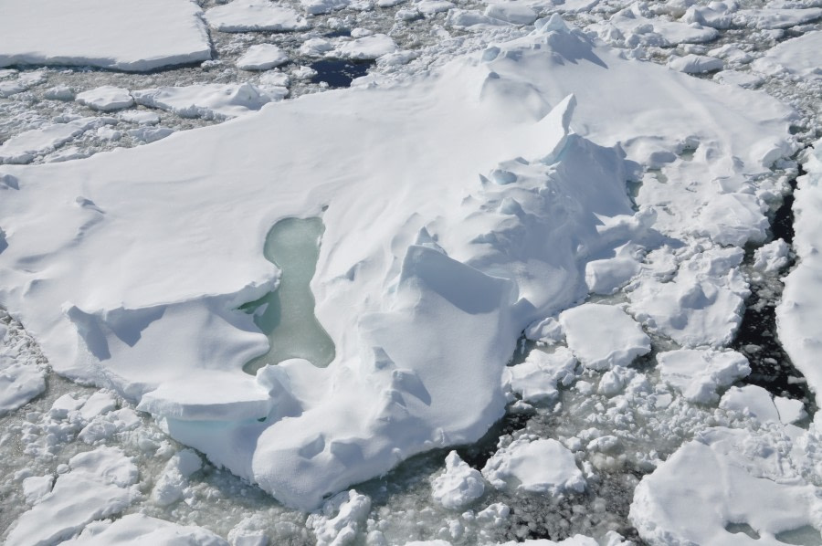 At sea and in the ice