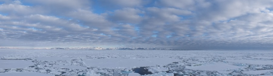 Im Packeis nördlich von Spitzbergen