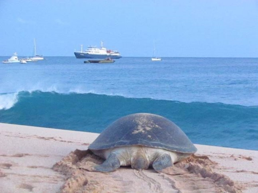 Ascension Island