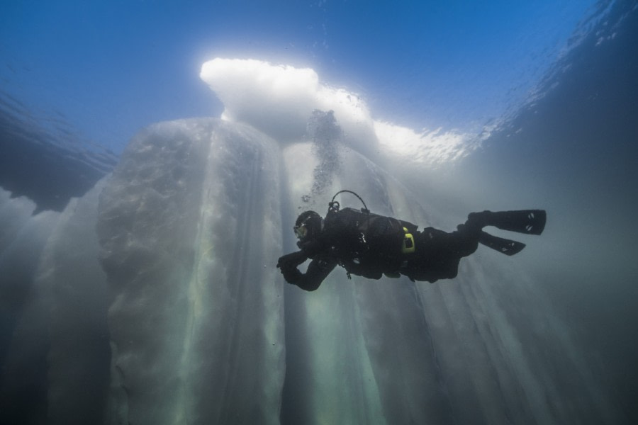 Greenland, Scoresby Sund © Alexander Kassler-Oceanwide Expeditions (325).jpg