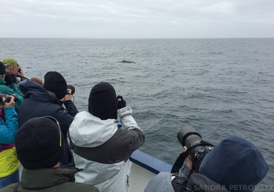 At sea towards Jan Mayen