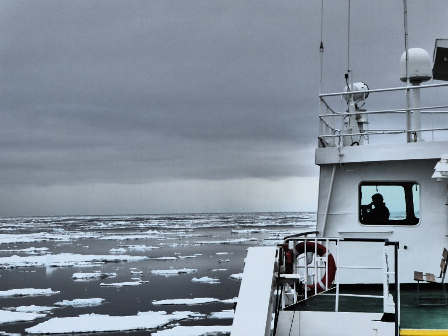 Going north along the ice edge © Francina Becker - Oceanwide Expeditions