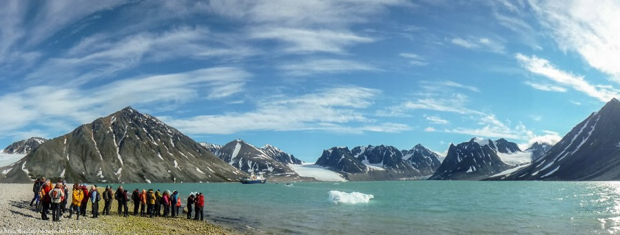 Magdalenefjord und im Smeerenburgfjord: Eisbären bei Danskøya, Walrosse bei Smeerenburg