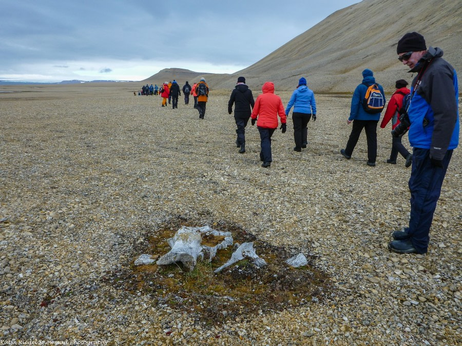 PLA11-17, Day 5, Round Spitsbergen20170728_Katja Riedel_P1910152-Oceanwide Expeditions.jpg