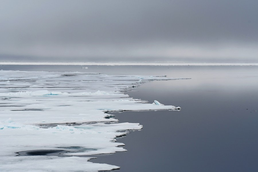 Svalbard pack ice © Geert Kroes - Oceanwide Expeditions.jpg