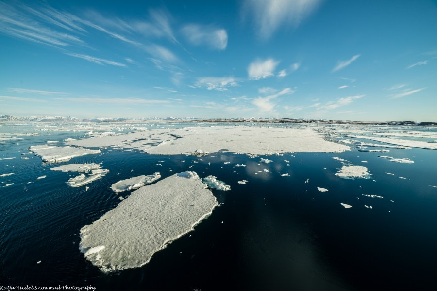 PLA08-17, Day 5 20170703_Katja Riedel_DSC_8449 - Oceanwide Expeditions.jpg