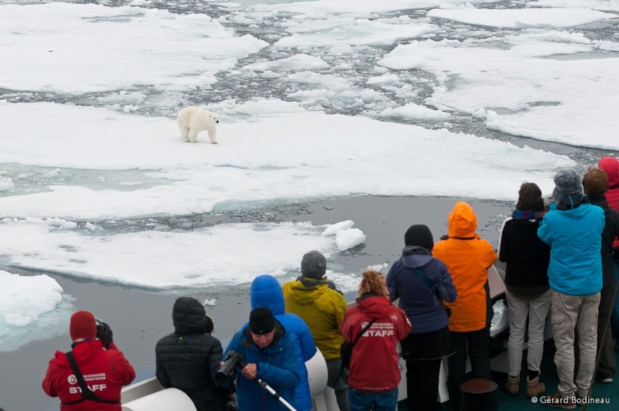 PLA13-17, Day 6 2017-08-16_3_GerardBodineau_PolarBearApproaching_© Oceanwide Expeditions.jpg