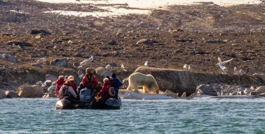 PLA11-17, Day 3, Round Spitsbergen20170726_Katja Riedel_P1120072-Oceanwide Expeditions.jpg