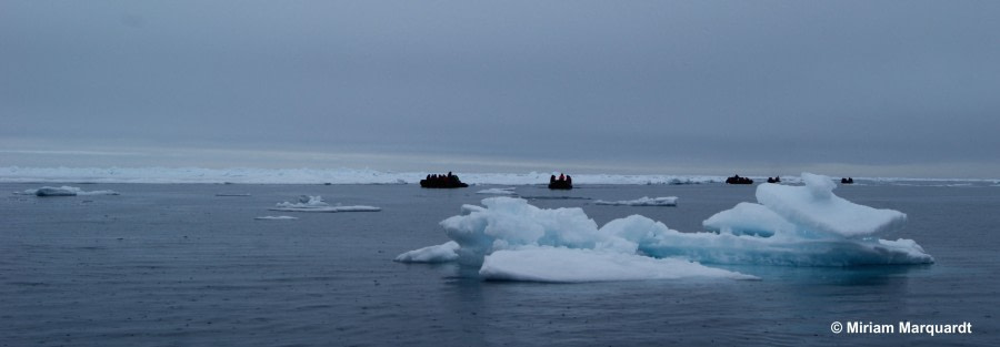 PLA11-17, Day 4, Round Spitsbergenseaice1_MM_27Jul-Oceanwide Expeditions.jpg