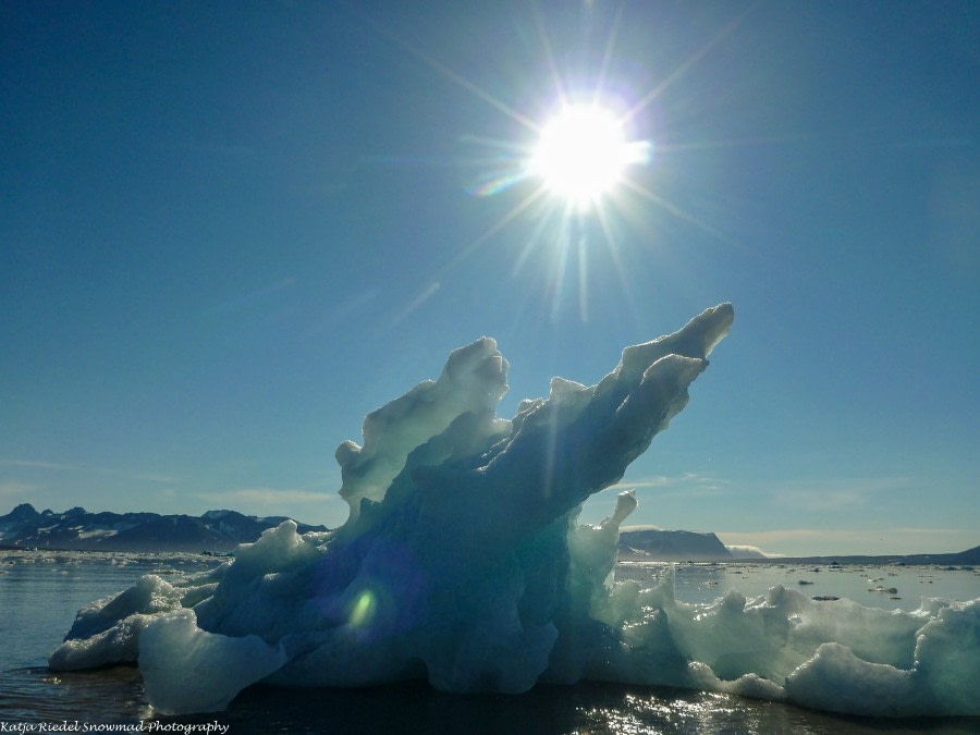 PLA11-17, Day 8, Round Spitsbergen20170731_Katja Riedel_P1910254-Oceanwide Expeditions.jpg