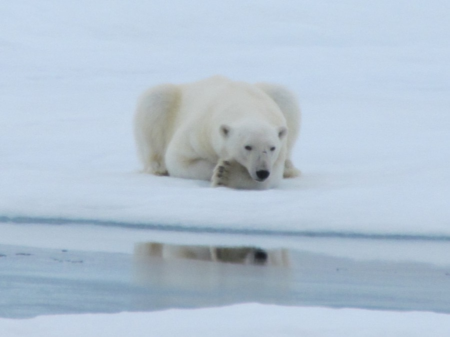 Expedition Day in the Ice