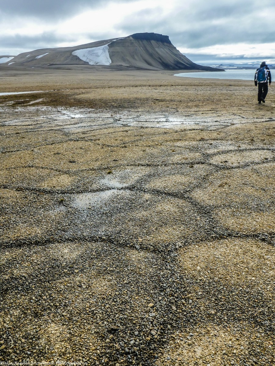 PLA11-17, Day 5, Round Spitsbergen20170728_Katja Riedel_P1910170-Oceanwide Expeditions.jpg