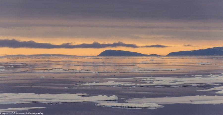 PLA11-17, Day 4, Round Spitsbergen20170727_Katja Riedel_DSC_1982-Oceanwide Expeditions.jpg