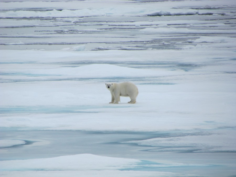 OTL12-17, Day 5 IMG_5166_© Oceanwide Expeditions.JPG